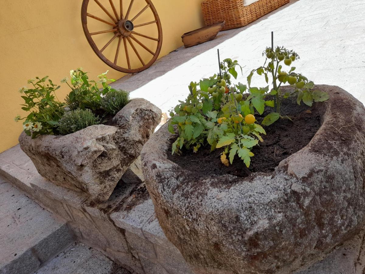 Casa Rural Del Tio Maino Becerril de la Sierra Esterno foto
